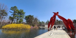 원주 뮤지엄 산에 찾아온 봄