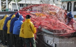 싱싱한 봄 멸치가 왔어요.