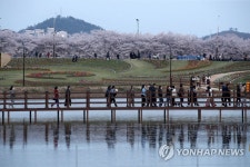 삭막했던 도로까지 모두 푸른 잔디 정원으로 변했어요