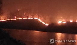 충북 옥천 야산서 불…산림당국 1단계 발령(종합)