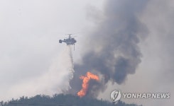 강한 바람에 산불 진압 난항…진화율 홍성 66%·대전 81%