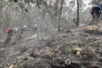 육군 31사단, 산불 진화 지원