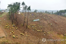 속초시청 식목일 행사