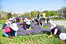 청초호 유원지 화단 만들기