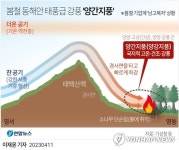 [강릉산불] 태풍급 강풍에 공중진화 불가…8천L 초대형헬기조차 못 떠