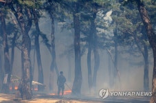 [강릉산불] 바람 잦아들자 헬기 3대 투입…370㏊ 소실·65% 진화