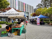 [용인소식] 기흥역·수지구청서 매주 로컬푸드 직거래장터