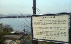 [굽이굽이 별천지] ② 춘천 서면 박사마을…여덟 집마다 한 집꼴 배출