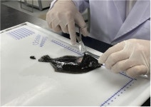 올해 어·패류 진료 수산질병관리사 122명 합격