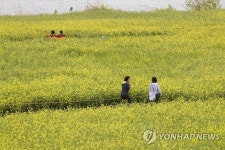꽃밭 산책 영산강 둔치