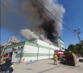 충남 아산 제약공장서 불…근로자 36명 대피