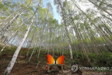 자작자작, 당신을 기다립니다