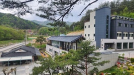 [통통 지역경제] 영농조합으로 활로 찾은 양양 달래촌…일자리·소득창출