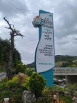 [통통 지역경제] 영농조합으로 활로 찾은 양양 달래촌…일자리·소득창출