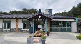 [통통 지역경제] 영농조합으로 활로 찾은 양양 달래촌…일자리·소득창출