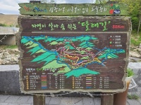 [통통 지역경제] 영농조합으로 활로 찾은 양양 달래촌…일자리·소득창출
