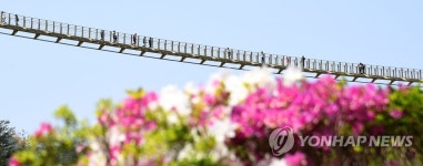 알록달록 5월의 출렁다리