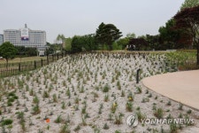 용산 어린이정원 전망언덕에서 바라본 대통령실