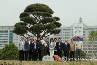 안동 병산서원, 윤석열 기념식수 비석 사라져...현장 파악 중