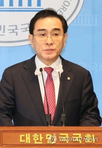 태영호 최고위원직 자진 사퇴