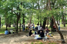 아이들의 웃음소리로 가득한 솔숲