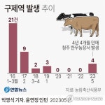 청주 한우농장 구제역 추가 발생…4곳으로 늘어(종합)