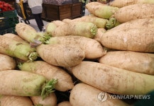 무·양파·감자값, 내달도 강세