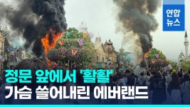 [영상] 에버랜드 정문 앞 나무 조형물에 불…대피 소동