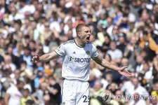 EPL 뉴캐슬 감독, 경기 중 팬에게 폭행당해…순식간에 벌어져