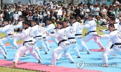 평택해양페스티벌에서 펼쳐진 태권도 공연