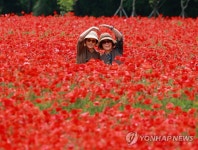 양귀비꽃과 함께