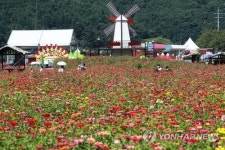 강원도, 화훼 6차산업 전환 모색…체험장·꽃 카페 조성