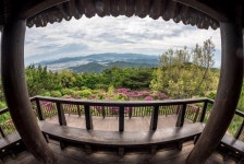 쉬엄쉬엄 올라가니 분홍세상…김해 신어산 철쭉제