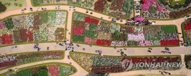 곡성 기차마을 수놓은 장미꽃