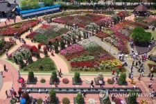 장미꽃 건너 장미꽃