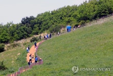 푸르른 제주 오름 걸어요