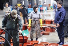삼척시 비화마을, 꽃 날리는 어촌으로 만들겠다