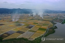 보릿짚 타는 들녘