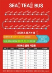 시내버스 요금으로 바닷가 명소 관광 강릉 시티버스 새 단장