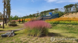 호국보훈의 달 파주 마장호수·임진각관광지 공연 무대로 변신