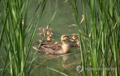 우리는 다둥이 가족