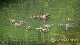 우리는 다둥이 가족