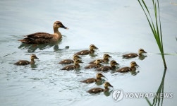 우리는 다둥이 가족