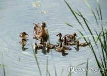 엄마가 지켜줄게