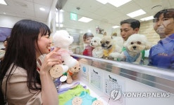 김포공항에 생긴 애견센터