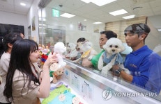 김포공항에 생긴 애견센터