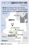 아마존 '40일의 기적'…비행기 추락 콜롬비아 어린이 넷 생환