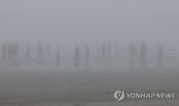 서해 짙은 안개…인천∼섬 6개 항로 여객선 운항 차질