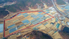 대구 농수산물도매시장 유통종사자 전원 이전 합의