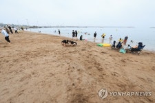 한산한 화순해수욕장